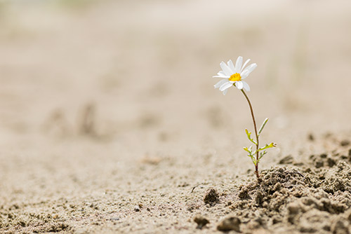 Resilienz: Wie Sie Krisen wie einen Schlaganfall oder Corona-Stress gut meistern